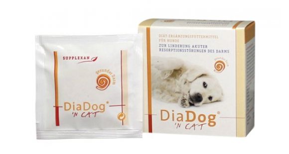 Dog Ergänzungsfutter Kautabletten für Hunde 6 gesund-gekauft.ch