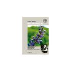 Künzle Kräuter Atlas