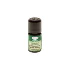 Aromalife Weisstanne ätherisches Öl Bio Wildsammlung