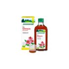Schoenenberger Echinacea Frischpflanzensaft Bio