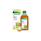 Schoenenberger Ingwer Frischpflanzentrunk Bio