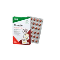 Floradix Folsäure Kapseln