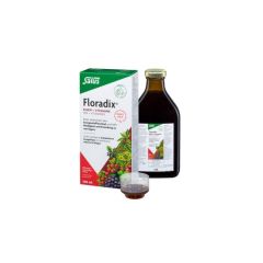 Floradix Eisen + Vitamine Tonikum 500