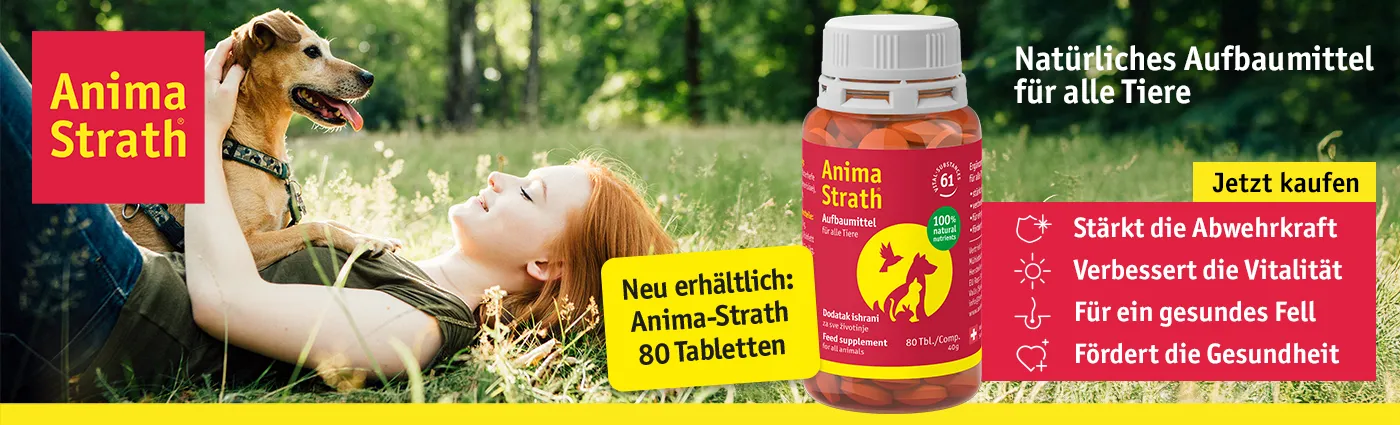 Anima-Srath 80 Stk.