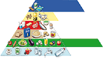 Das Profil Ihrer persönlichen Lebensmittelpyramide