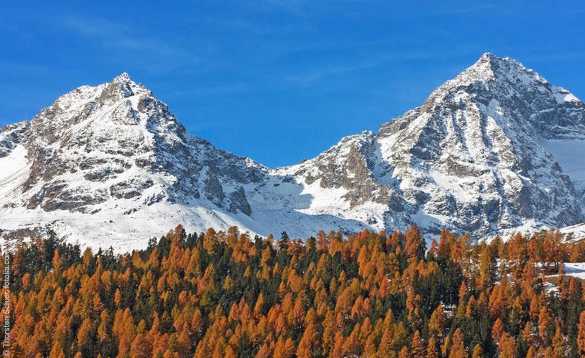 Gesunder Schlaf mit Arve und Arvenöl