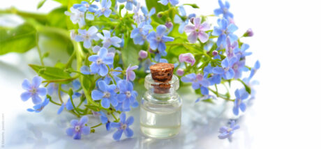 Aromatherapie – wohlriechende Öle für die Gesundheit