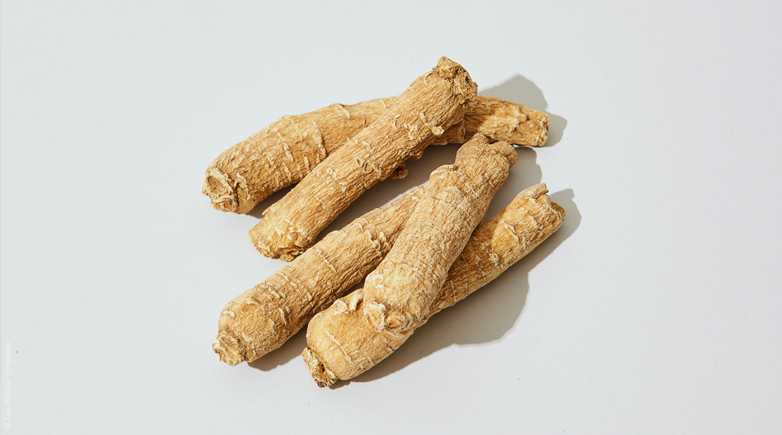 Ginseng Wurzel