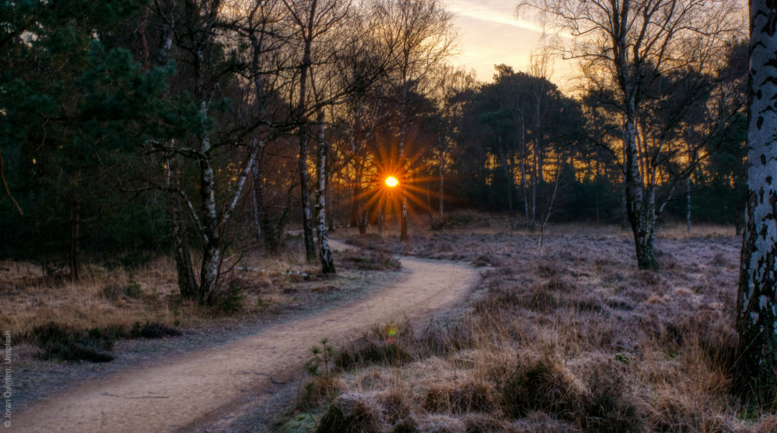 Ultrasun Gesundheit in der kalten Jahreszeit - diese Tipps stärken Körper und Lebensfreude